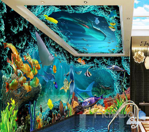 Image of Shark Chasing Turtle Wallaper IDCQW-000294 custom size