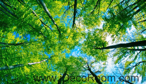 Image of Tree Sky Sun Beam Forest 00087 Ceiling Wall Mural Wall paper Decal Wall Art Print Decor Kids wallpaper