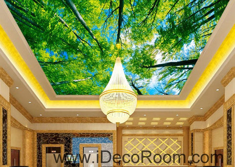 Image of Tree Sky Sun Beam Forest 00087 Ceiling Wall Mural Wall paper Decal Wall Art Print Decor Kids wallpaper