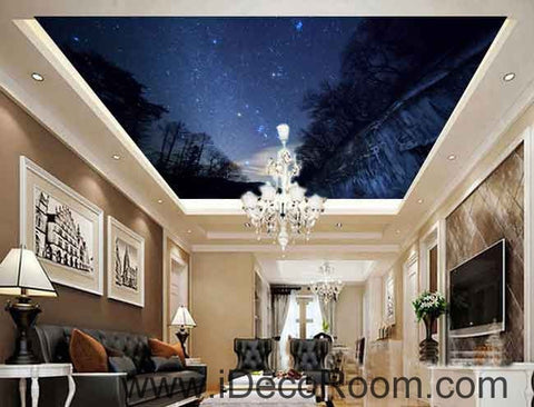 Image of Forest Night Sky Starlight Wallpaper Wall Decals Wall Art Print Business Kids Wall Paper Nursery Mural Home Decor Removable Wall Stickers Ceiling Decal