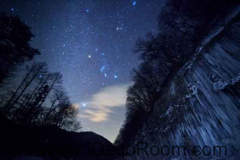 Image of Forest Night Sky Starlight Wallpaper Wall Decals Wall Art Print Business Kids Wall Paper Nursery Mural Home Decor Removable Wall Stickers Ceiling Decal