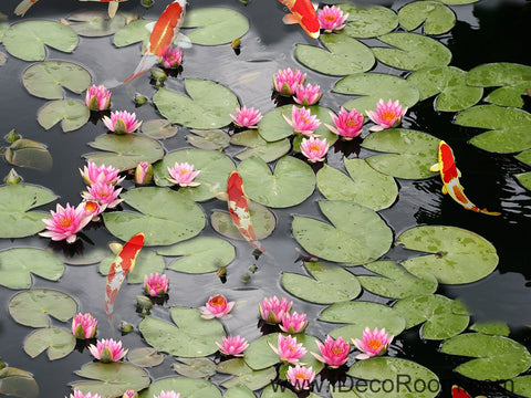 Image of Water Lily Lotus Red Carp Fish 00045 Floor Decals 3D Wallpaper Wall Mural Stickers Print Art Bathroom Decor Living Room Kitchen Waterproof Business Home Office Gift
