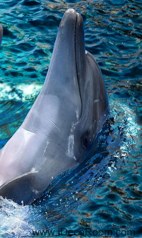 Image of Dophin Bay Rocks 00069 Floor Decals 3D Wallpaper Wall Mural Stickers Print Art Bathroom Decor Living Room Kitchen Waterproof Business Home Office Gift