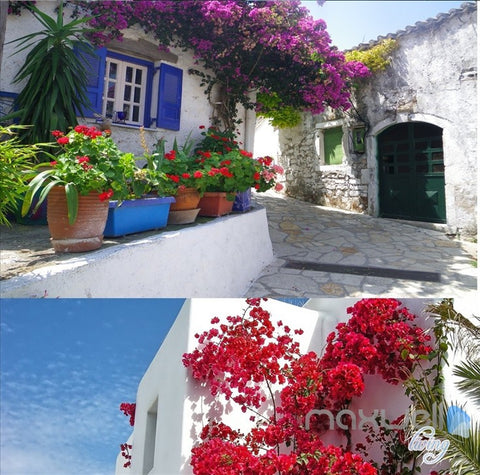 Image of Greek landscape map of the entire room wallpaper wall mural decal IDCQW-000003