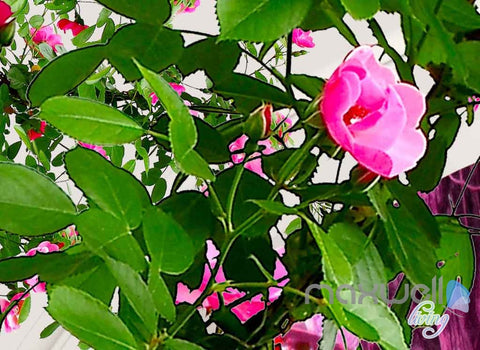 Image of 3D Rose Vine Arch Entire Room 3D Wallpaper Wall Murals Art Print Wedding Decor IDCQW-000083