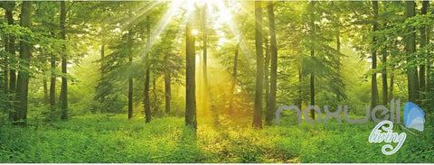 Image of 3D Forest Tree Sun Beam Entire Room Wallpaper Wall Murals Art Prints IDCQW-000089