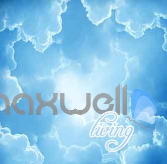 Image of 3D Antarctic Pole Penguins Ice Entire Room Wallpapar Wall Murals Prints IDCQW-000114