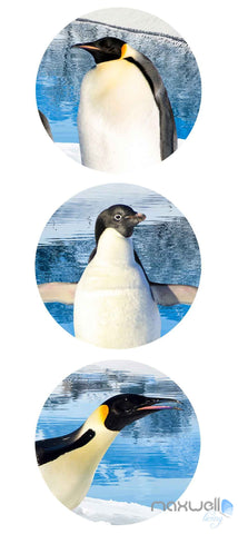 Image of 3D Anctica Penguins Iceberg Entire Room Wallpaper Wall Murals Art Prints IDCQW-000144