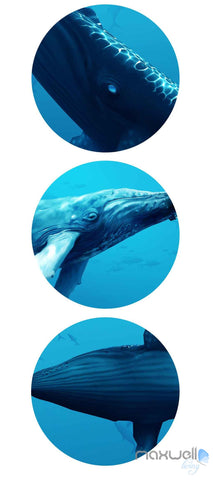 Image of 3D Whale Underwater Entire Living Room Bathroom Wallpaper Wall Murals Art IDCQW-000145
