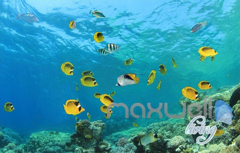 Image of 3D Turtle Dophin Tropical Fish Entire Room Wallpaper Wall Mural Art Prints IDCQW-000160