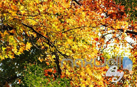 Image of 3D Autumn Forest Park Entire Living Room Wallpaper Wall Mural Art Prints IDCQW-000168