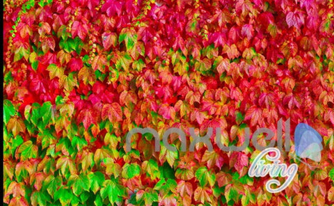 Image of 3D Boston Ivy Door Window Entire Living Room Wallpaper Wall Mural Art Decor Prints IDCQW-000189