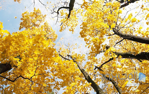 Image of 3D Yellow Poplar Forest Entire Living Room Wallpaper Wall Mural Art Decor Prints IDCQW-000190