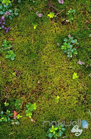 Image of 3D Forest Fog Tree Top Ceiling Entire Living Room Wallpaper Wall Mural Art Decor IDCQW-000193