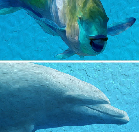 Image of 3D Ray Coral Reef Fish Entire Room Bathroom Wallpaper Wall Mural Art Decor Prints IDCQW-000205