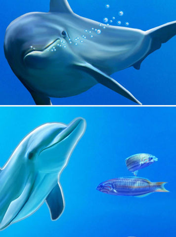 Image of 3D Shimmering Water Ceiling Dophin Window View Entire Room Bathroom Wallpaper Wall Mural Art IDCQW-000212