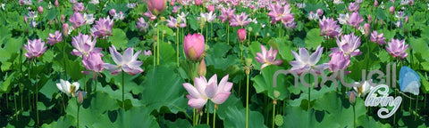 Image of 3D Lotus Lilypad Pond Entire Room Bathroom Wallpaper Wall Mural Art Decor Prints IDCQW-000214