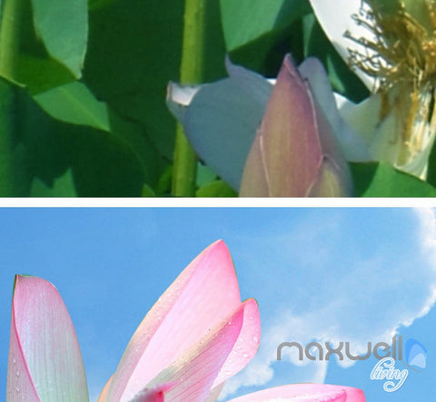 Image of 3D Lotus Lilypad Pond Entire Room Bathroom Wallpaper Wall Mural Art Decor Prints IDCQW-000214
