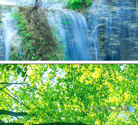 Image of 3D Fish Waterfall Tree Top Ceiling Entire Room Wallpaper Wall Mural Art Decor Prints IDCQW-000217