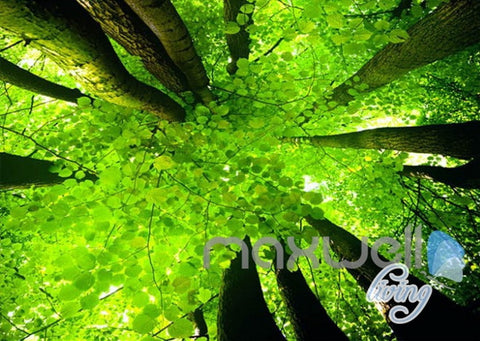 Image of 3D Animals Green Forest Tree Top Entire Living Room Wallpaper Wall Mural Art Decor IDCQW-000220