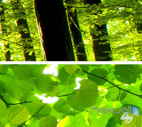 Image of 3D Animals Green Forest Tree Top Entire Living Room Wallpaper Wall Mural Art Decor IDCQW-000220