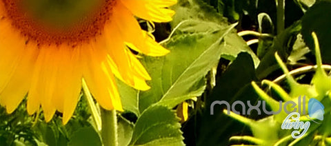 Image of 3D Hot Airballon Sunflower Field Entire Living Room Wallpaper Wall Mural Decor IDCQW-000250