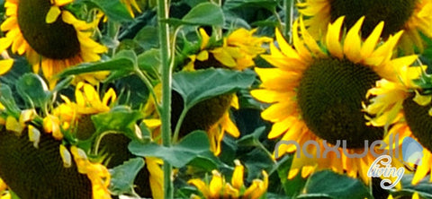 Image of 3D Airballon Flowers Entire Living Room Bedroom Wallpaper Wall Mural Art Decor IDCQW-000251