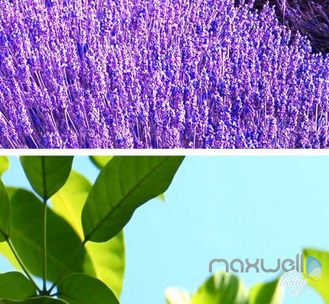 Image of 3D Lavender Farm Arches Vine Entire Living Room Bedroom Wallpaper Wall Mural Art IDCQW-000266