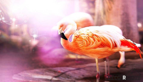 Image of Beautiful dream flamingo wallpaper wall murals IDCWP-HL-000027