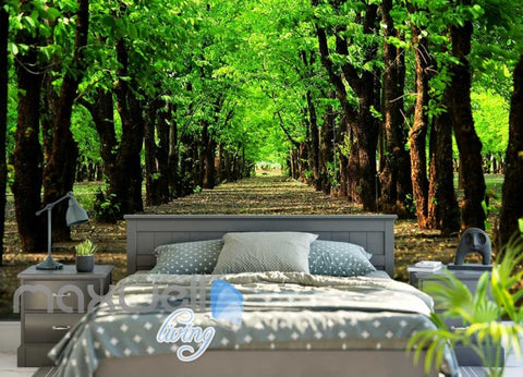Image of Green Tree Tunnel Path Park Art Wall Murals Wallpaper Decals Prints Decor IDCWP-JB-000124
