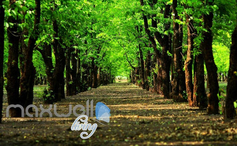 Image of Green Tree Tunnel Path Park Art Wall Murals Wallpaper Decals Prints Decor IDCWP-JB-000124