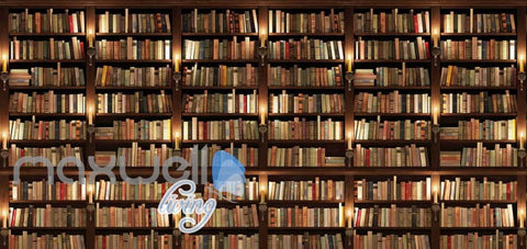 Image of Library Book Collection Shelves Art Wall Murals Wallpaper Decals Prints Decor IDCWP-JB-000157