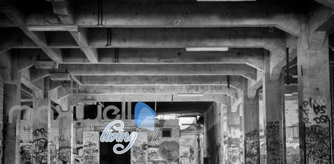 Image of Parking Concrete Graffiti Photo Art Wall Murals Wallpaper Decals Prints Decor IDCWP-JB-000176