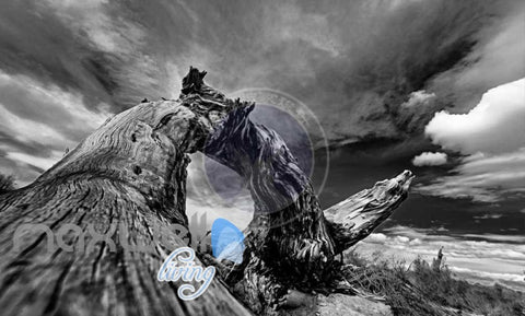 Image of Landscape Old Fallen Tree Art Wall Murals Wallpaper Decals Prints Decor IDCWP-JB-000820