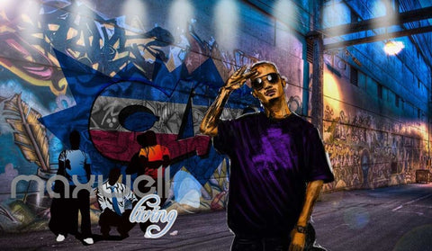 Image of 3D Graffiti Feather Paint Back Street Art Wall Murals Wallpaper Decals Prints IDCWP-TY-000246