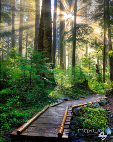 Image of 3D Forest Sun Beam Corridor Entrance Wall Mural Decals Art Print Wallpaper 034