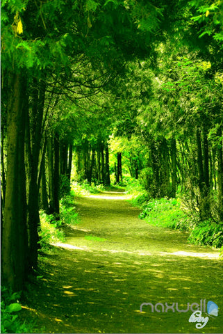 Image of 3D Green Forest Sunbeam Corridor Entrance Wall Mural Decals Art Print Wallpaper 060