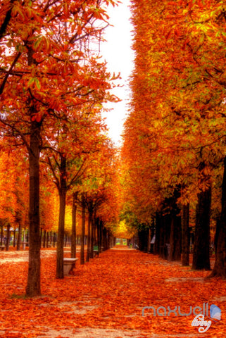 Image of 3D Leaves Fall Tree Corridor Entrance Wall Mural Decals Art Print Wallpaper 068