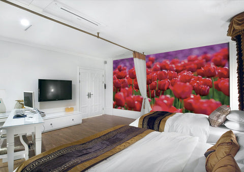 Image of Red Tulip Wall Paper Wall Print Decal Wall Deco Indoor wall
