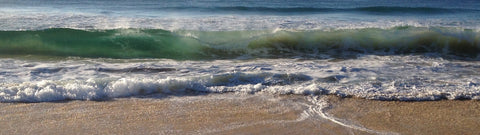 Beach Wave Sandshell customer image
