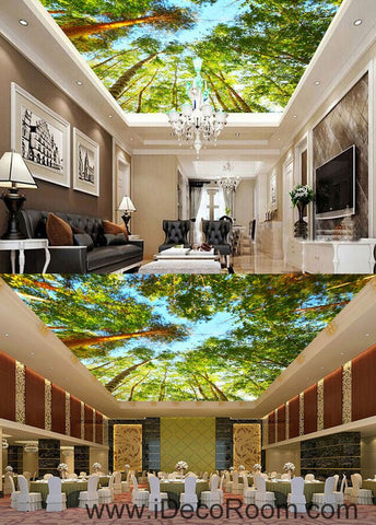 Image of Tall Tree Forest Blue Sky 00077 Ceiling Wall Mural Wall paper Decal Wall Art Print Decor Kids wallpaper