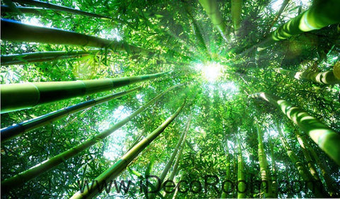 Image of Huge Bamboo Forest Sun Beam 00079 Ceiling Wall Mural Wall paper Decal Wall Art Print Decor Kids wallpaper