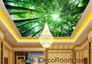 Huge Bamboo Forest Sun Beam 00079 Ceiling Wall Mural Wall paper Decal Wall Art Print Decor Kids wallpaper