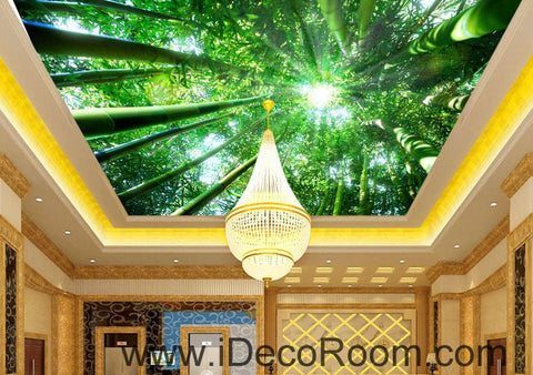 Image of Huge Bamboo Forest Sun Beam 00079 Ceiling Wall Mural Wall paper Decal Wall Art Print Decor Kids wallpaper