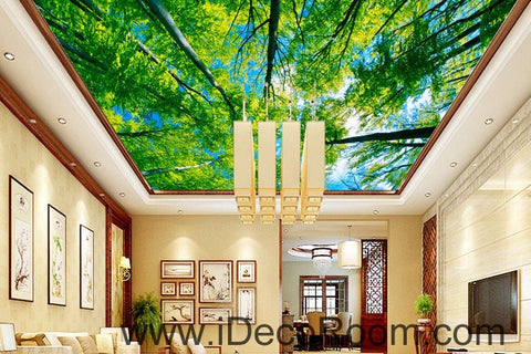 Image of Tree Sky Sun Beam Forest 00087 Ceiling Wall Mural Wall paper Decal Wall Art Print Decor Kids wallpaper
