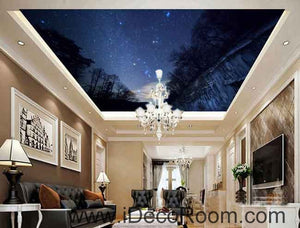 Forest Night Sky Starlight Wallpaper Wall Decals Wall Art Print Business Kids Wall Paper Nursery Mural Home Decor Removable Wall Stickers Ceiling Decal