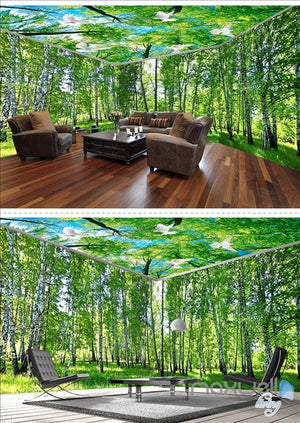 White birch forest theme space entire room wallpaper wall mural decal IDCQW-000019