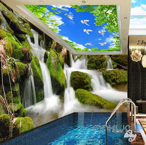 3D Long Waterfall Blue Sky Bird Ceiling Entire Room Wallpaper Wall Mural Art IDCQW-000163