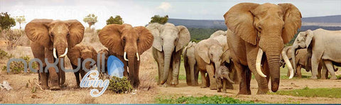 Image of 3D Elephant Africa Grassland Wall Murals Wallpaper Decals Art Print IDCQW-000315