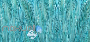 Graphic Design Pattern Blue Green Feathers Art Wall Murals Wallpaper Decals Prints Decor IDCWP-JB-000666